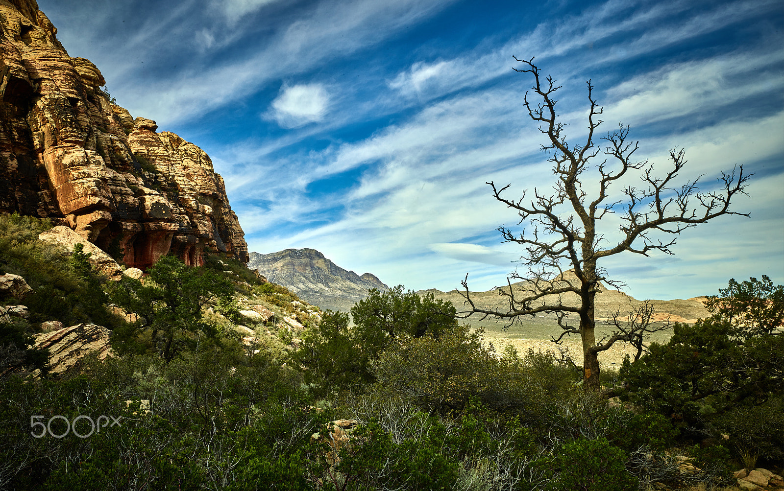 Schneider Kreuznach LS 35mm LS f/3.5 sample photo. Hiking in red rock photography