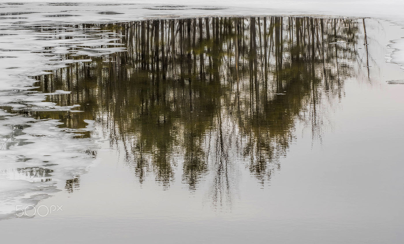 Olympus OM-D E-M1 + Olympus M.Zuiko Digital ED 40-150mm F2.8 Pro sample photo. Reflection framed in ice photography