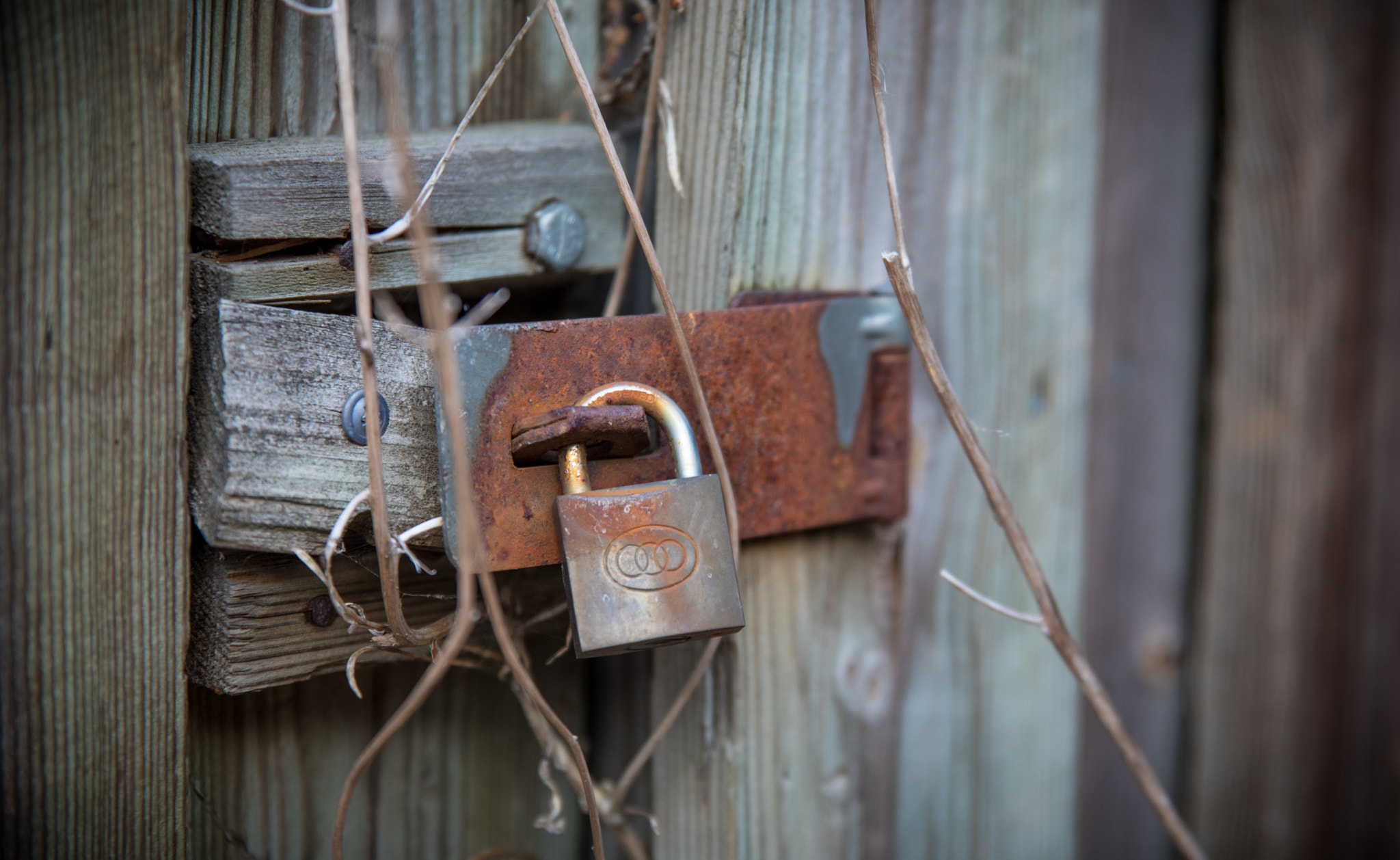 Sigma 24-70mm F2.8 EX DG Macro sample photo. Locked and forgotten photography
