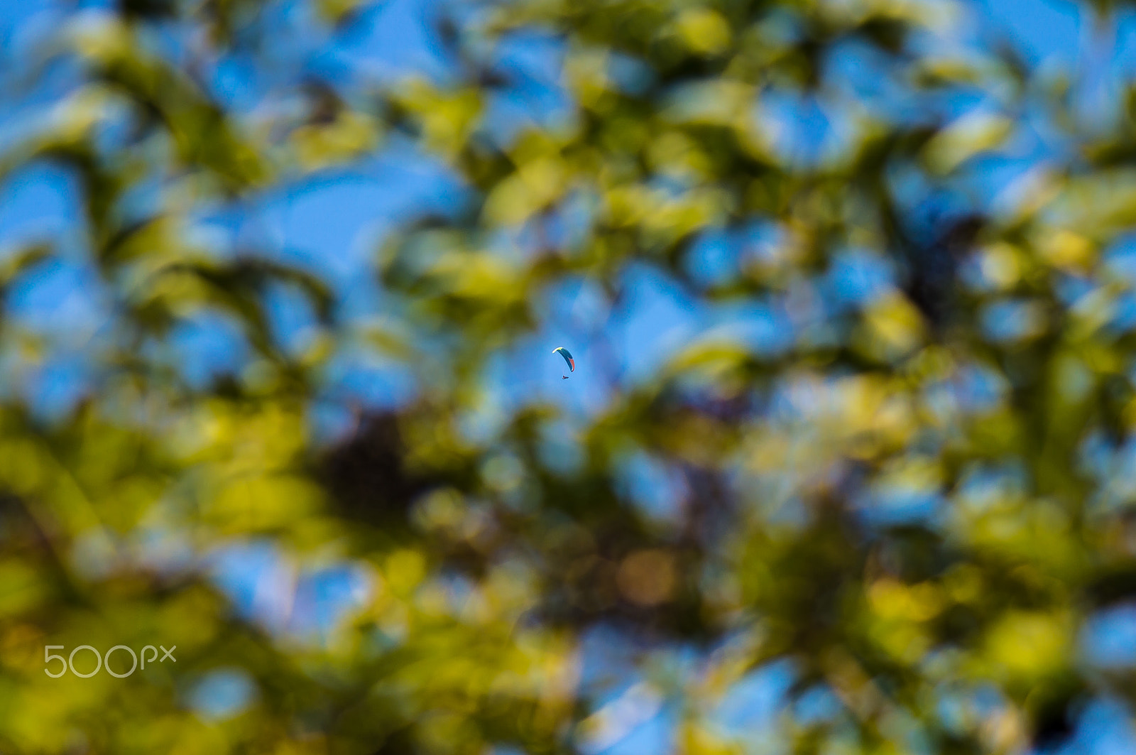 Nikon D3200 + Sigma 105mm F2.8 EX DG Macro sample photo. Paragliding photography