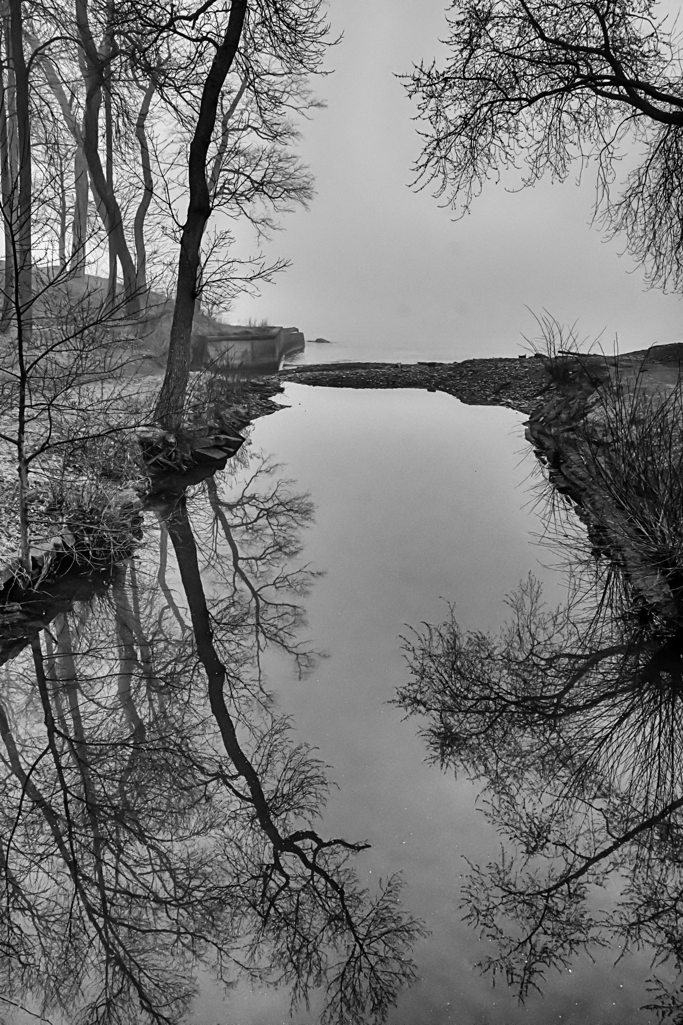 Sigma 18-250mm F3.5-6.3 DC Macro OS HSM sample photo. Misty mouth of mccraney creek photography