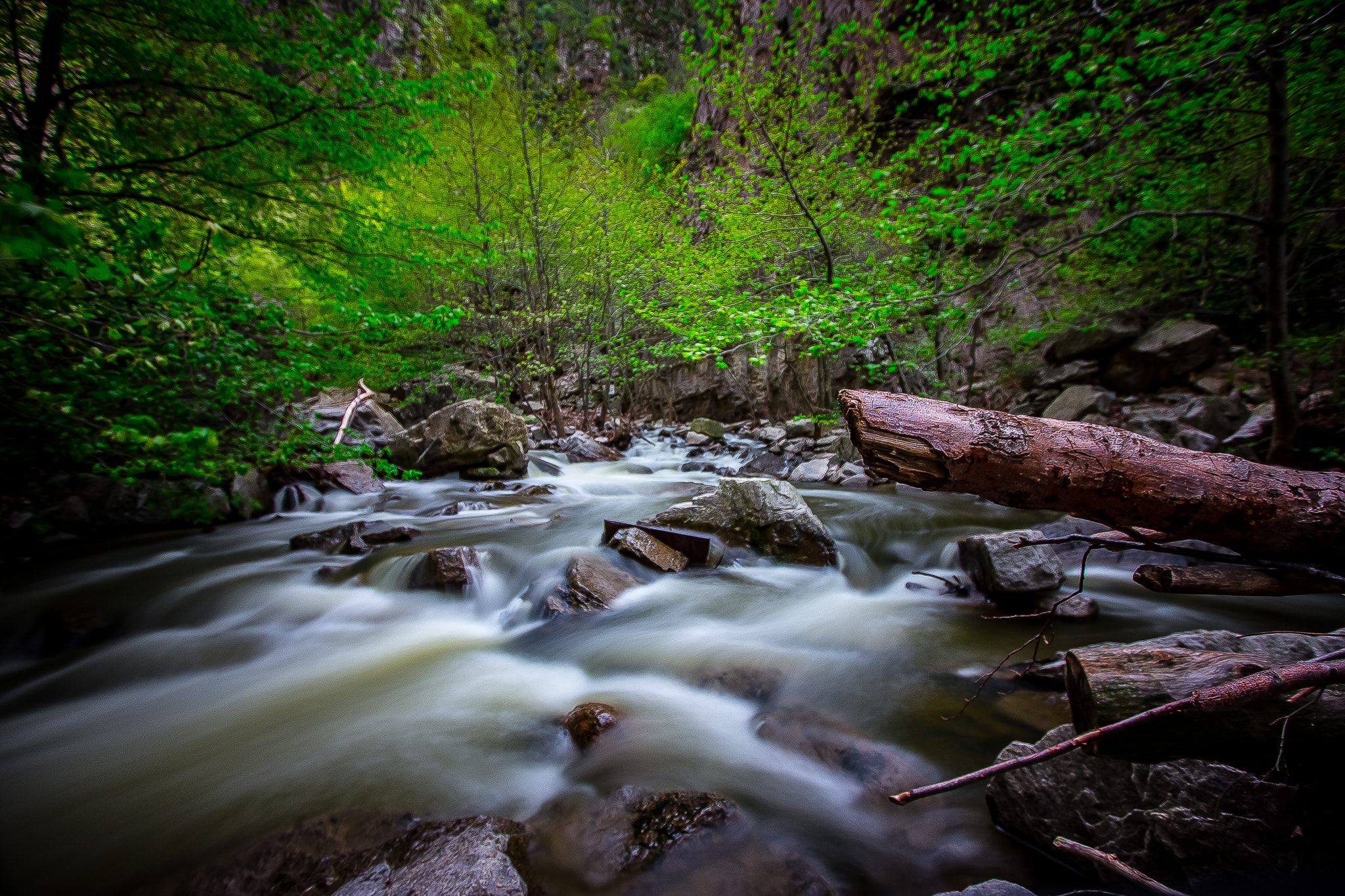 Canon EF-S 10-22mm F3.5-4.5 USM sample photo. Nature le photography