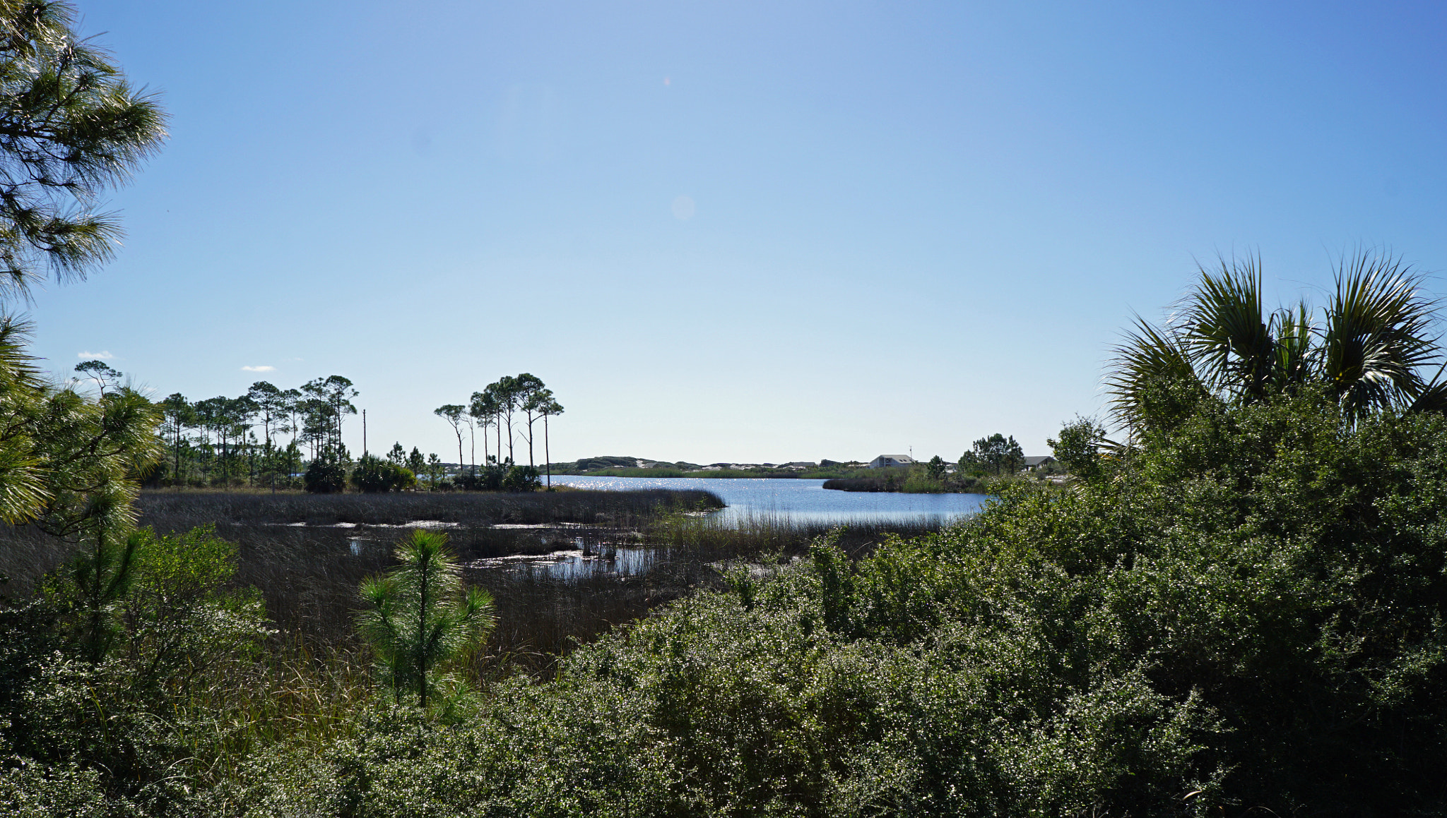 Sony a6000 + Sony E 18-55mm F3.5-5.6 OSS sample photo. Grayton beach state park view photography