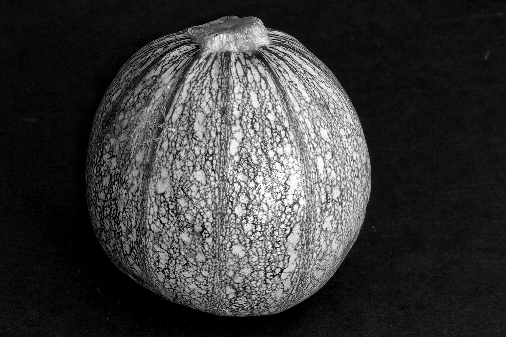 Canon EF-S 60mm F2.8 Macro USM sample photo. Squash closeup photography