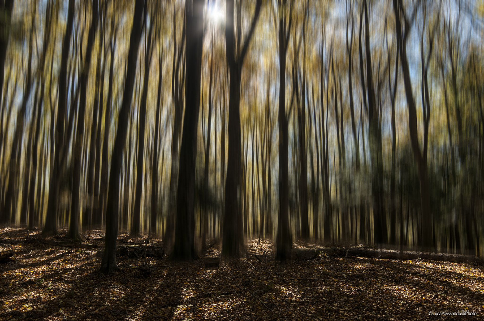 Samyang 14mm F2.8 ED AS IF UMC sample photo. Shadows - casentino - italy photography