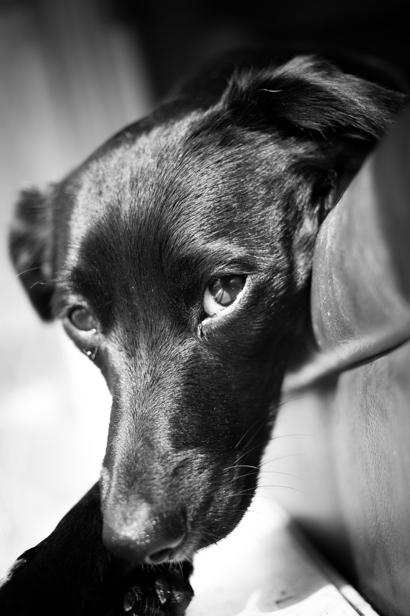 Canon EF 40mm F2.8 STM sample photo. Daydreaming photography