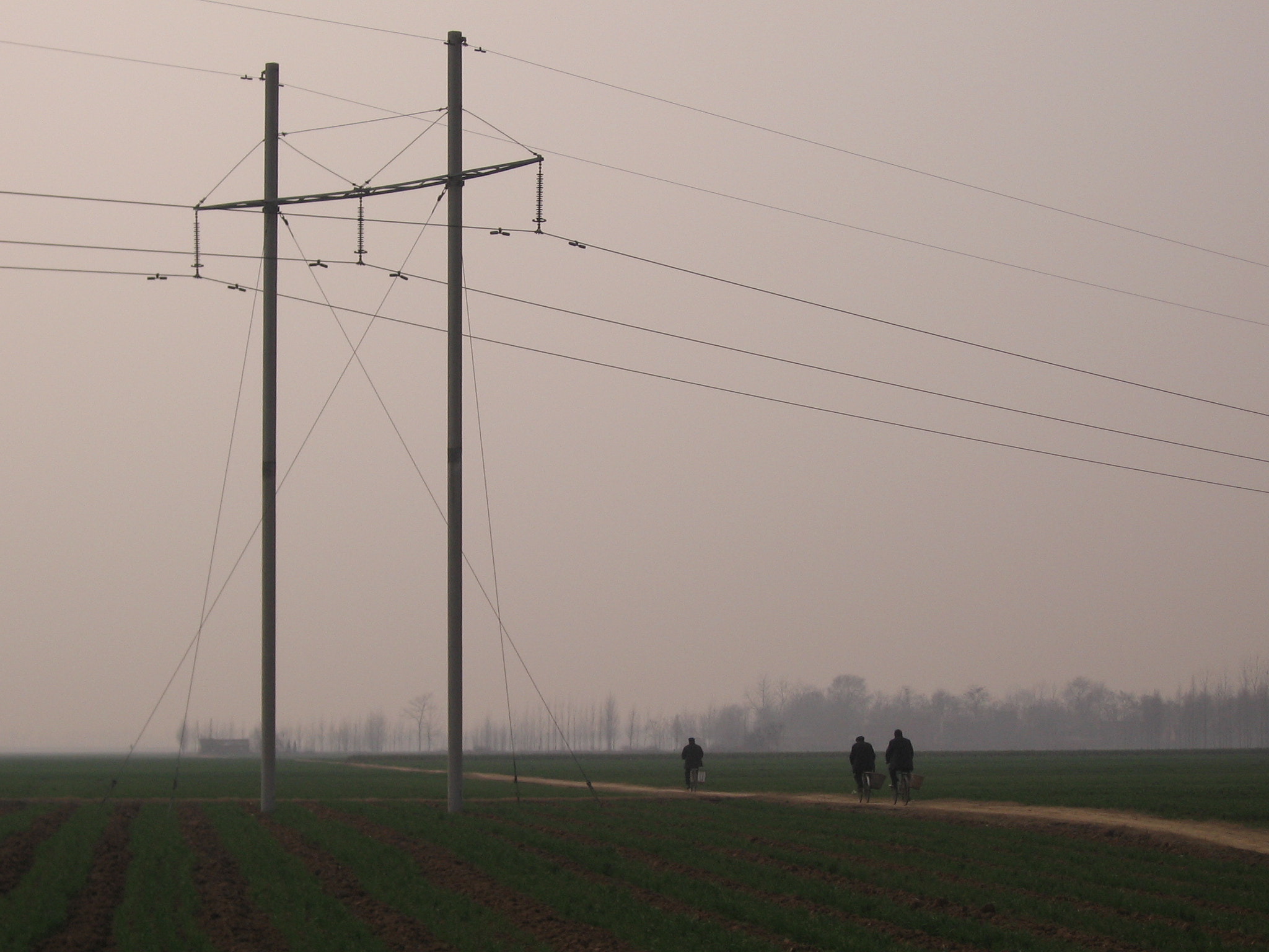 Canon POWERSHOT A520 sample photo. Three men riding bicycle through the wide field of henan province in the middle of china. photography