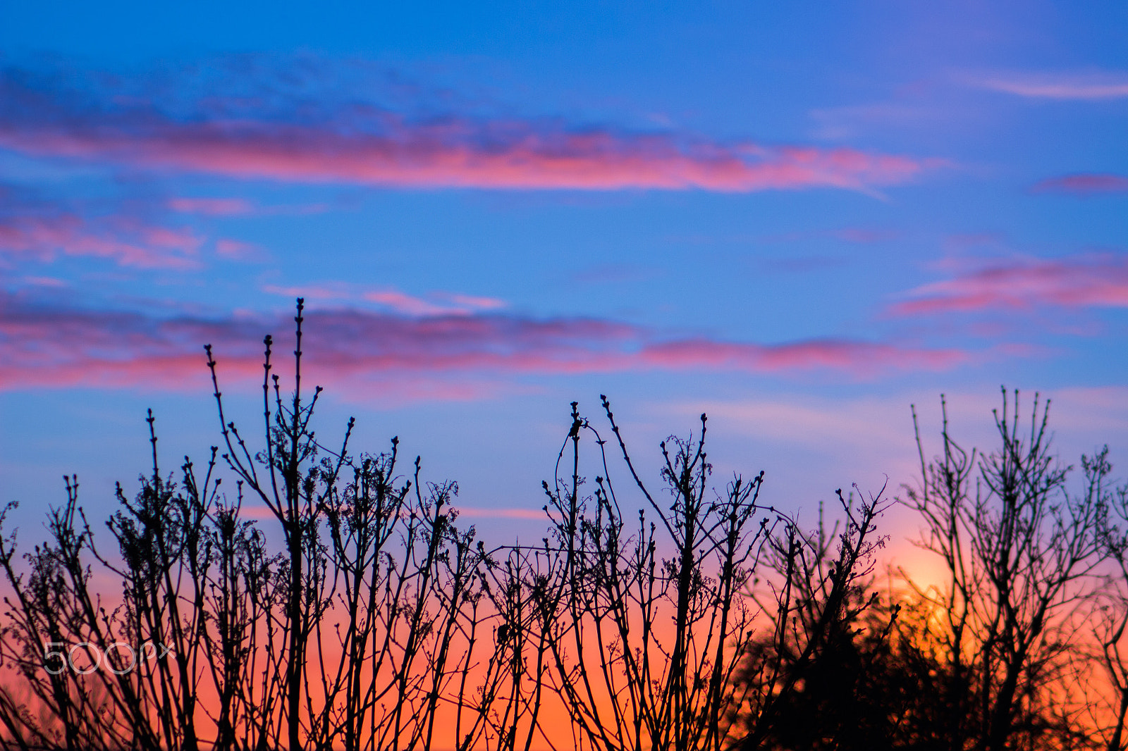 Canon EOS 100D (EOS Rebel SL1 / EOS Kiss X7) sample photo. Reaching for the clouds photography