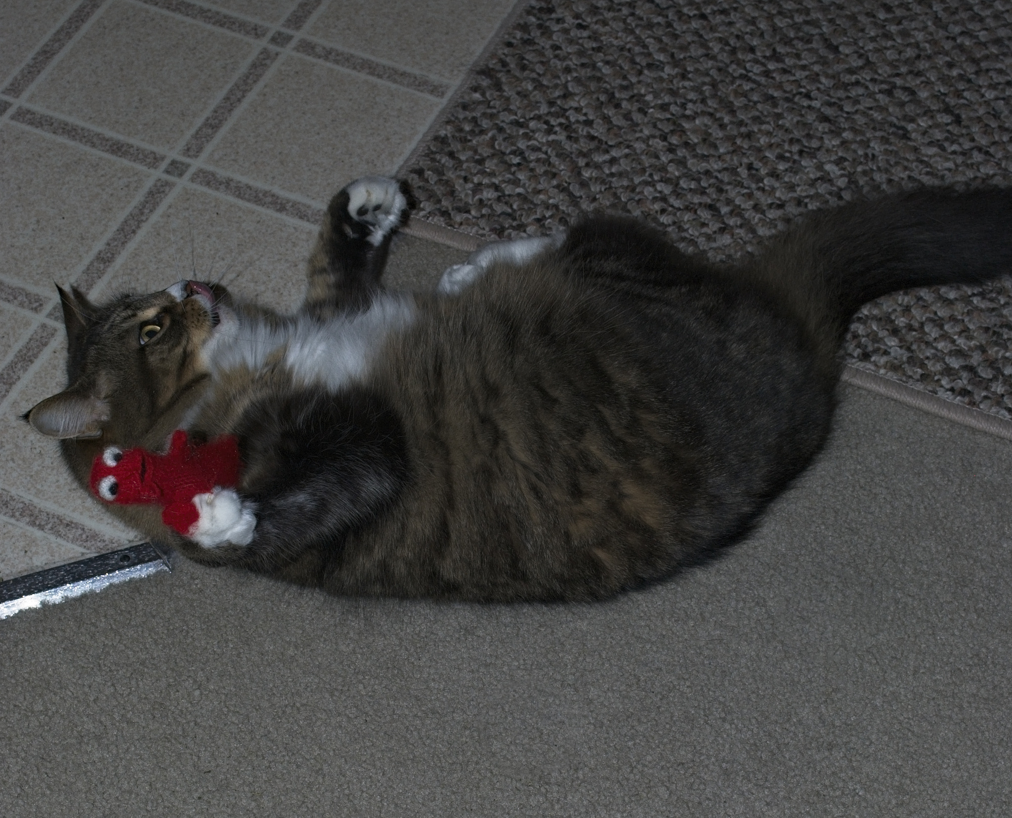 Nikon D60 sample photo. Why is this thing stuck to my hand? photography