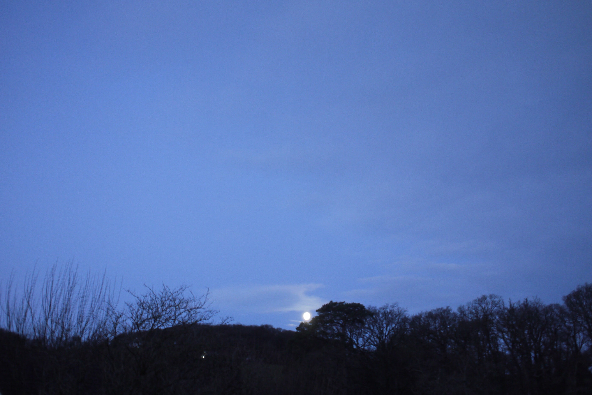 Olympus M.Zuiko Digital 17mm F2.8 Pancake sample photo. Bye bye moon photography