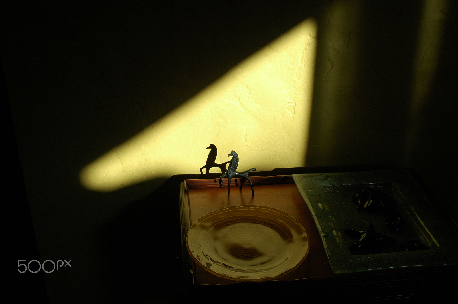Nikon D70 sample photo. Horse admiring its shadow photography