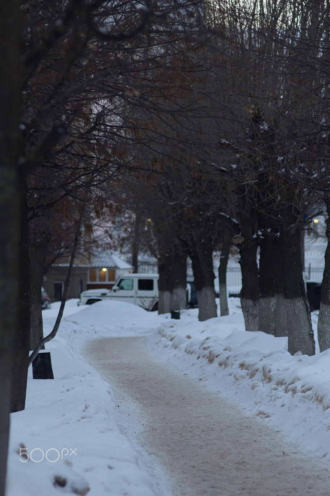 Canon EOS 60D sample photo. Cold day / test ussr lens. photography