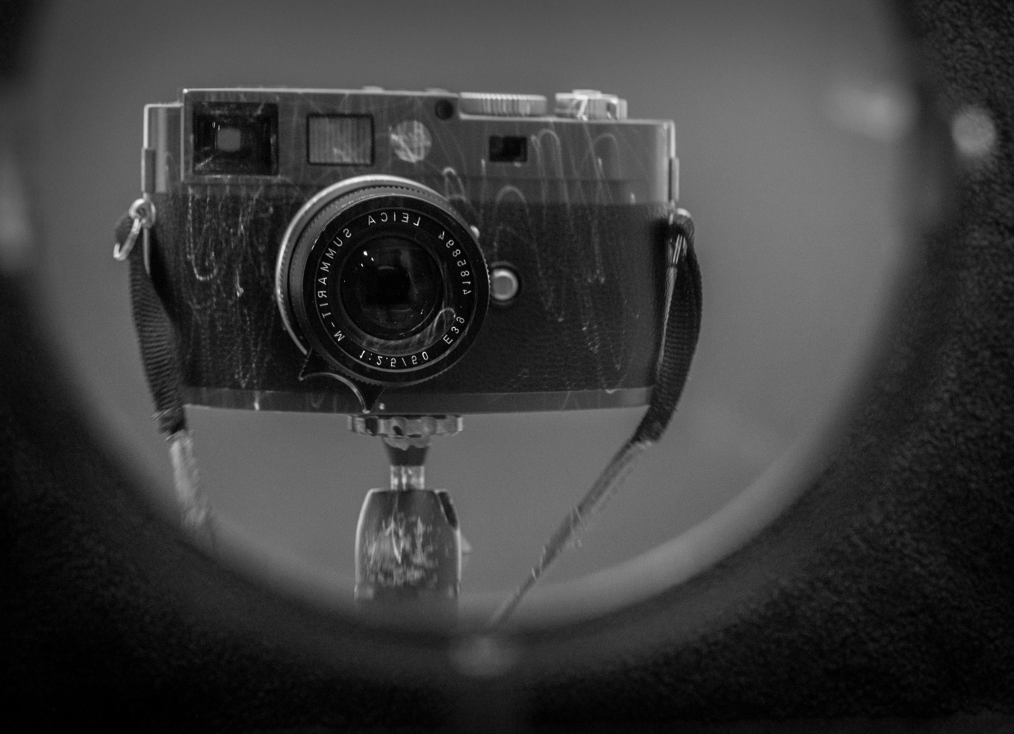 Leica Summarit-M 50mm F2.5 sample photo. I'm sexy and i know it! photography