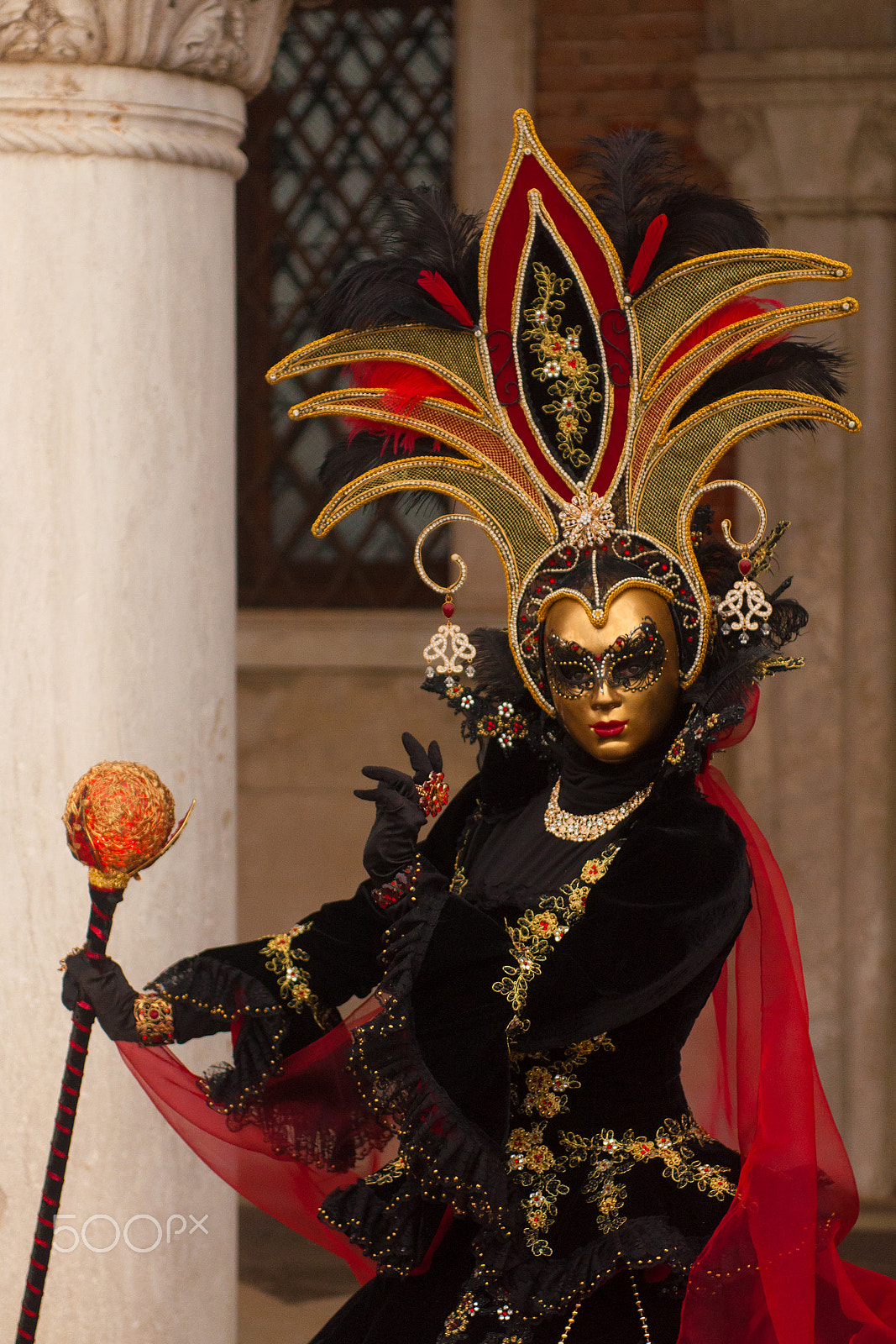 Nikon AF-S Nikkor 24-70mm F2.8G ED sample photo. Venice carnival golden headdress photography