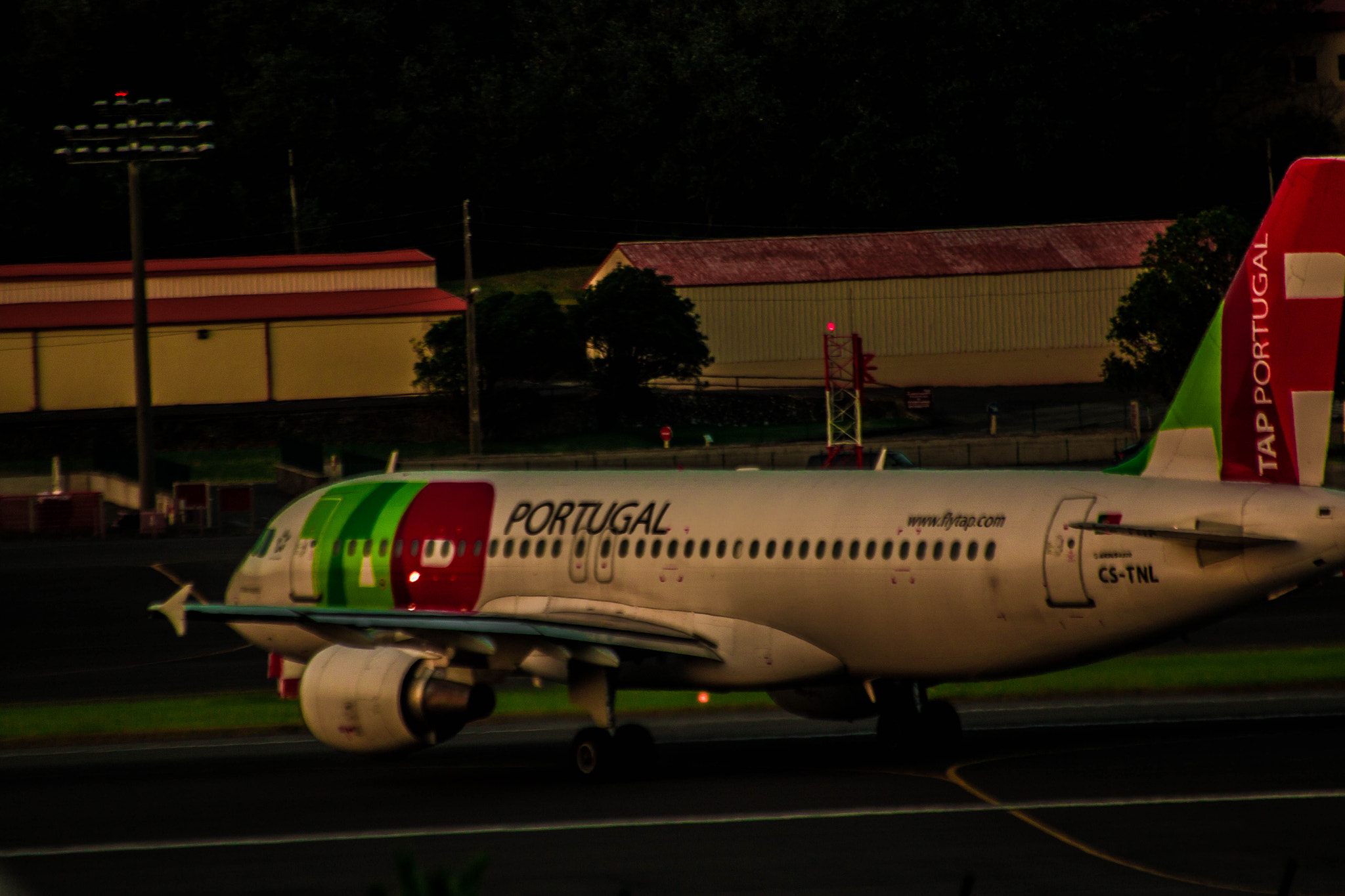 Sigma 70-300mm F4-5.6 APO DG Macro sample photo. Img photography