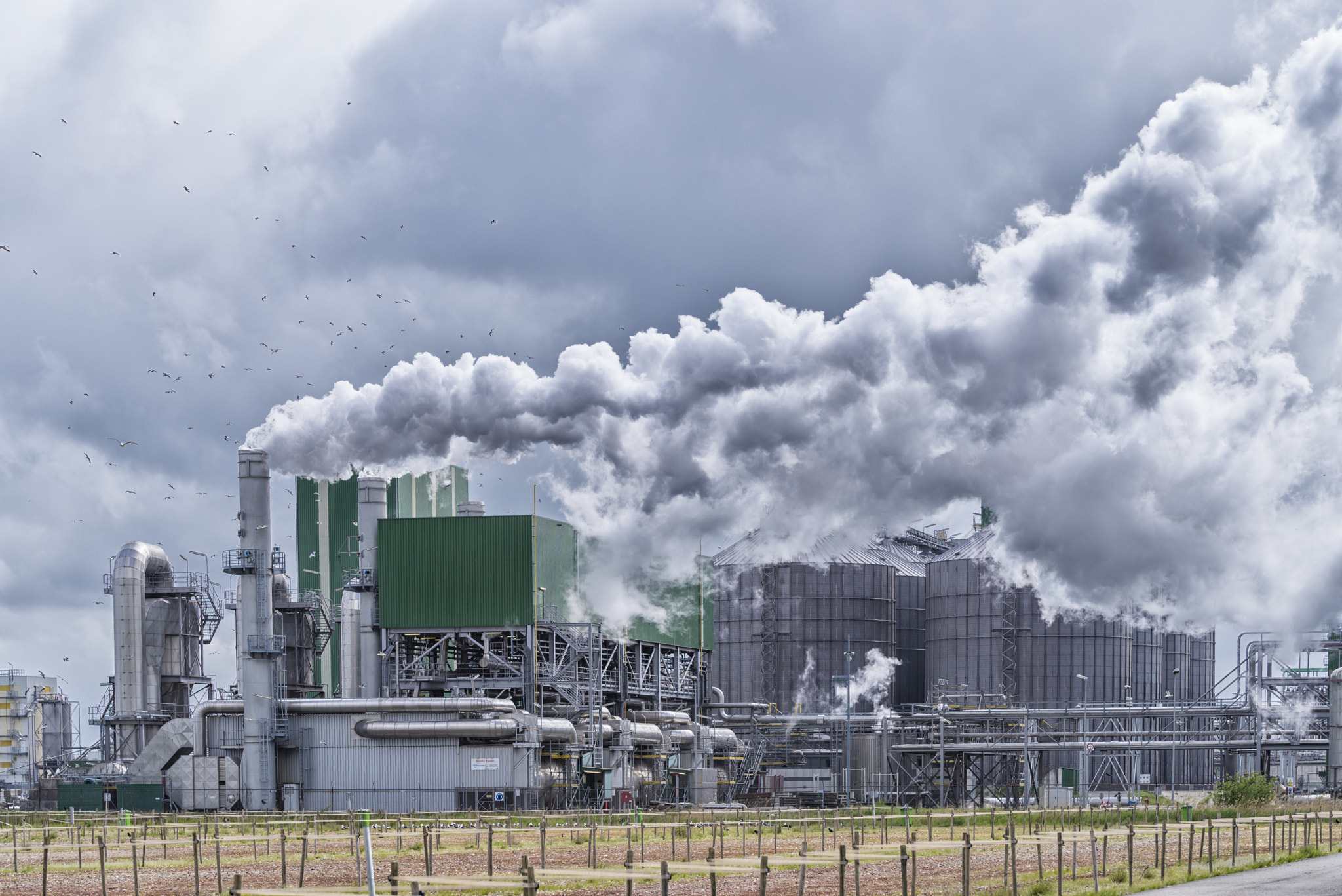 Pentax K-1 sample photo. Large industrial plant photography
