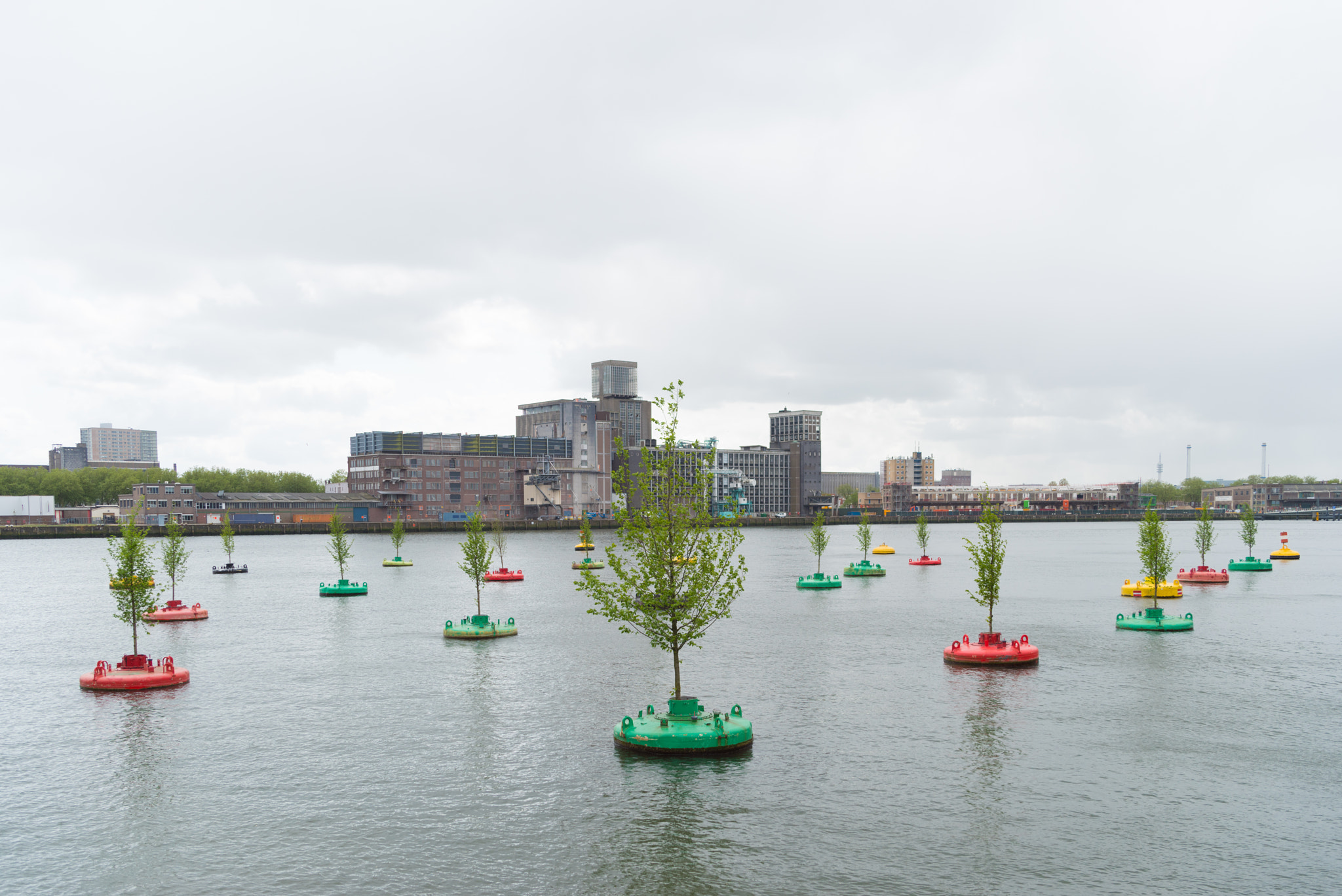 Pentax K-1 sample photo. Bobbing forest in rotterdam photography