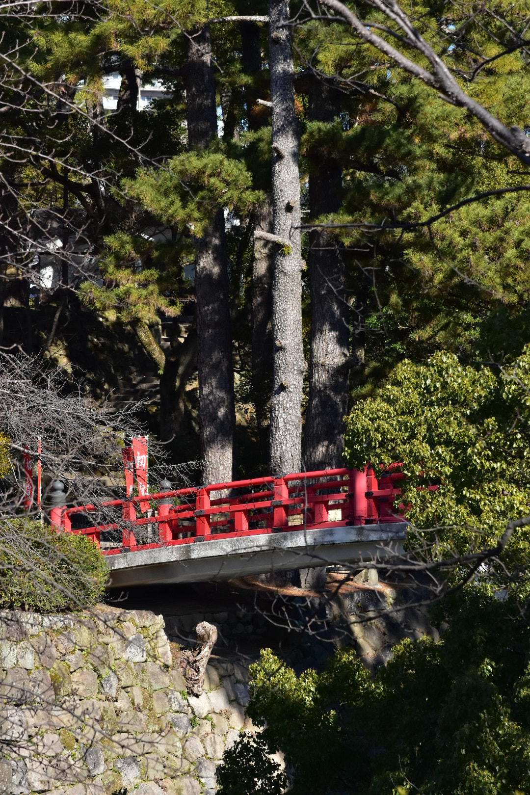 Nikon AF-S DX Micro-Nikkor 85mm F3.5G ED VR sample photo