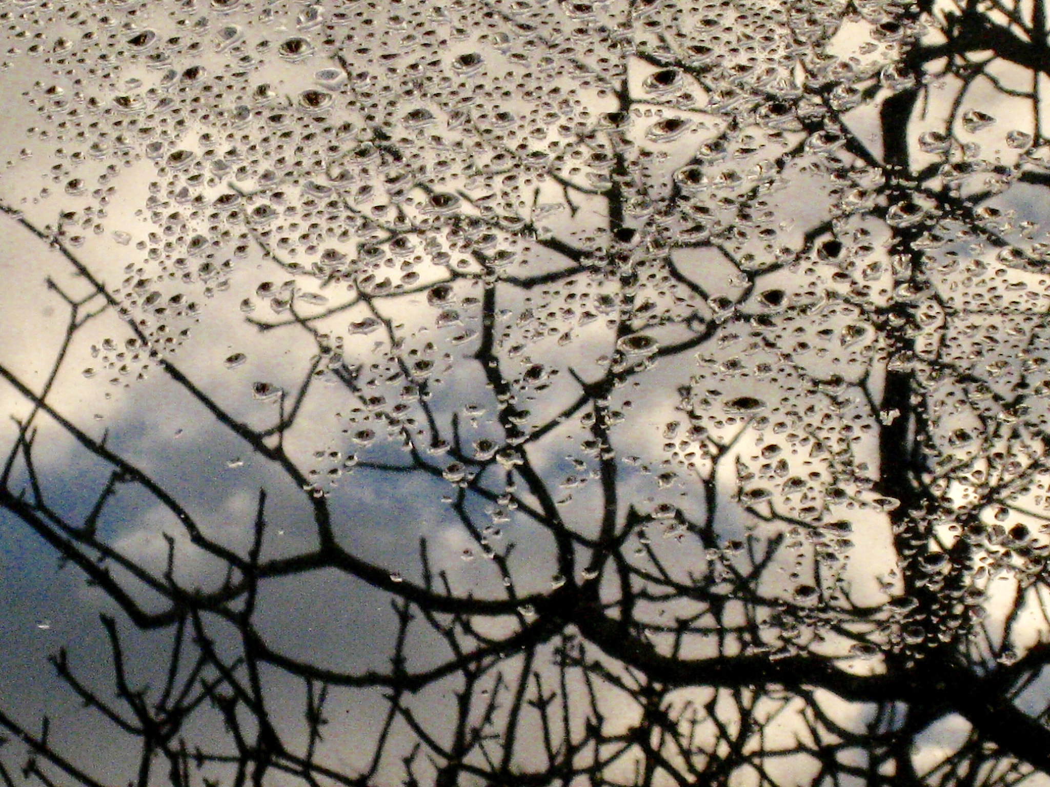 Canon POWERSHOT SD870 IS sample photo. Skylight in rain, san anselmo, california 2010 photography