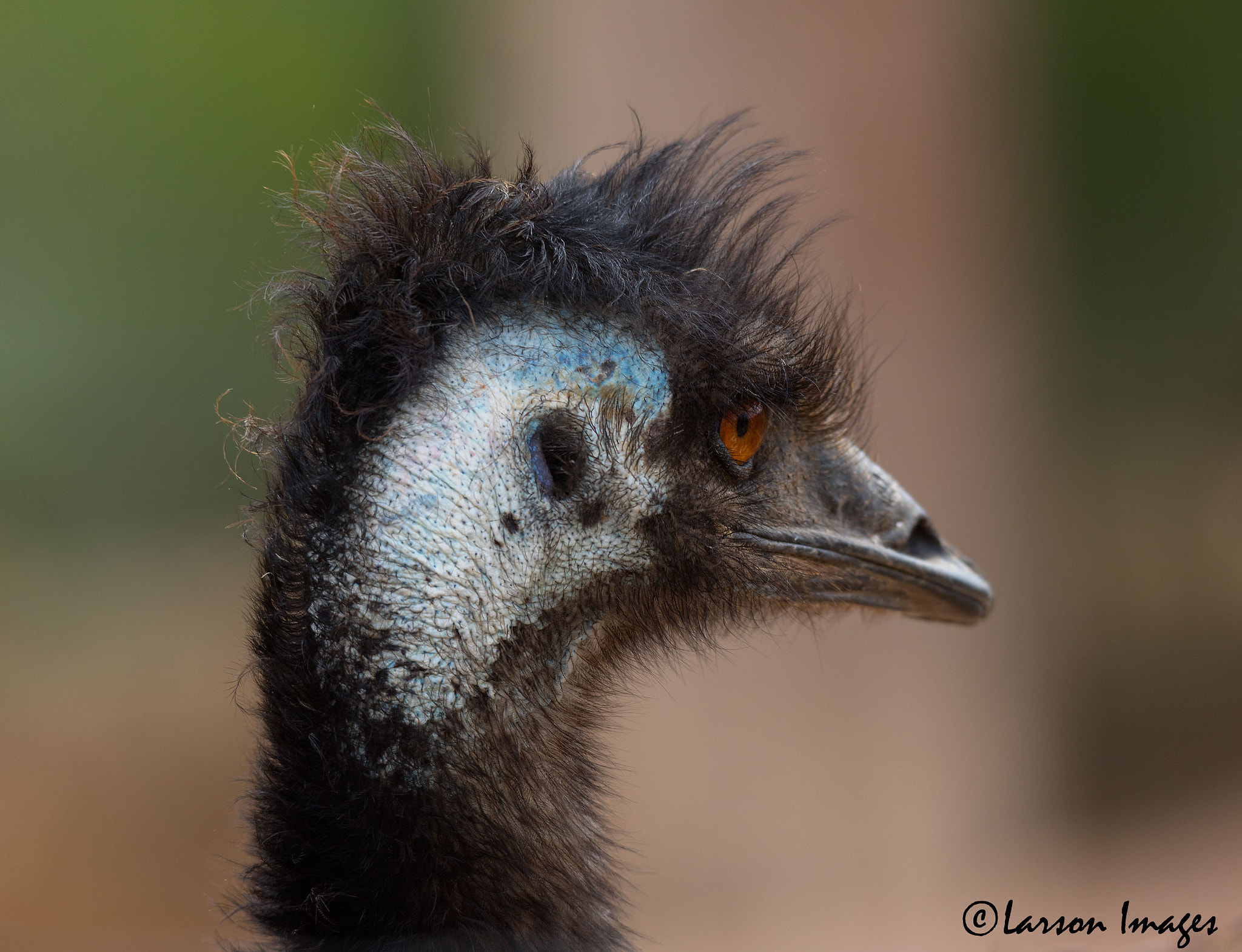 Tamron SP 150-600mm F5-6.3 Di VC USD sample photo