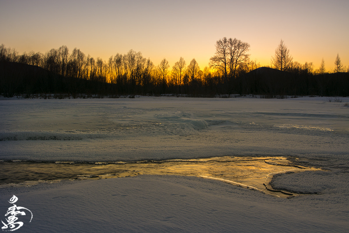 AF Zoom-Nikkor 24-120mm f/3.5-5.6D IF sample photo. M photography