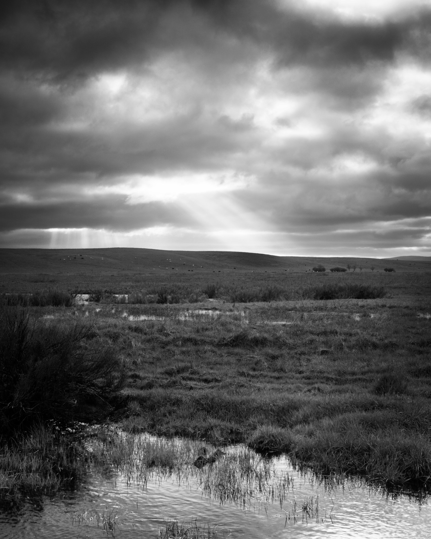 Canon EOS 750D (EOS Rebel T6i / EOS Kiss X8i) sample photo. Passing storms. photography
