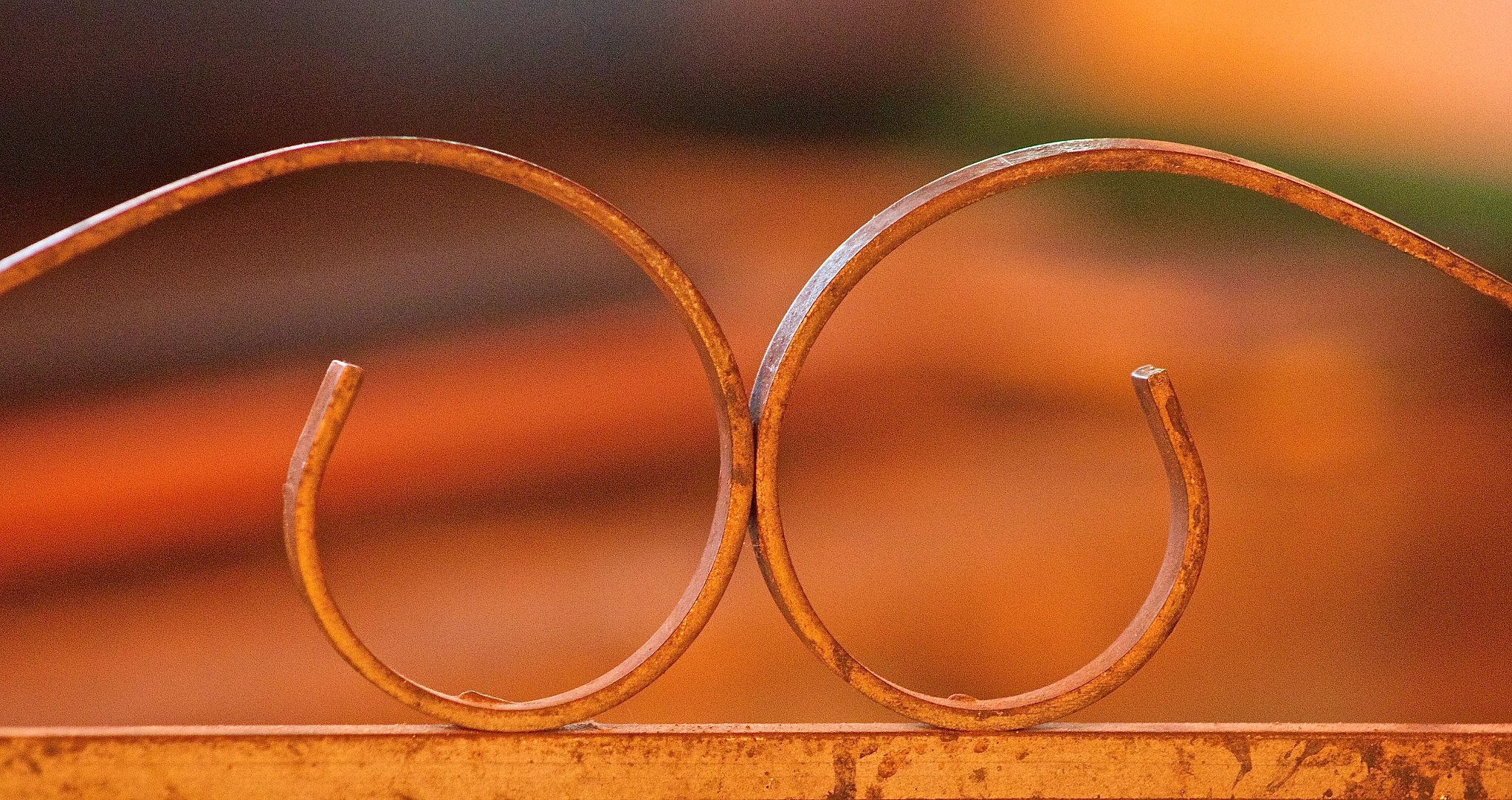 Canon EOS 550D (EOS Rebel T2i / EOS Kiss X4) + EF75-300mm f/4-5.6 sample photo. Equilibre photography
