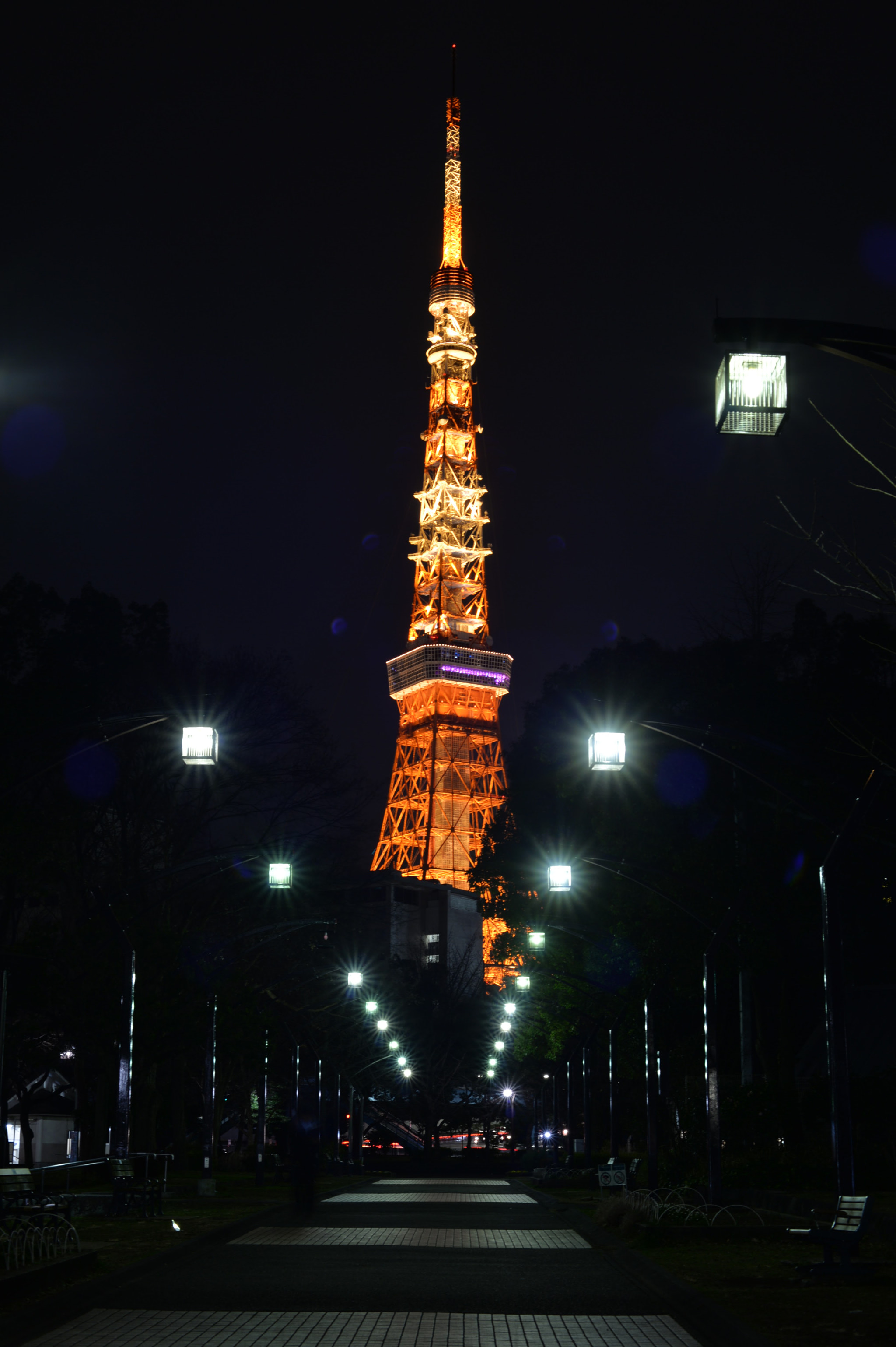 Nikon Df sample photo. Tokyo tower photography