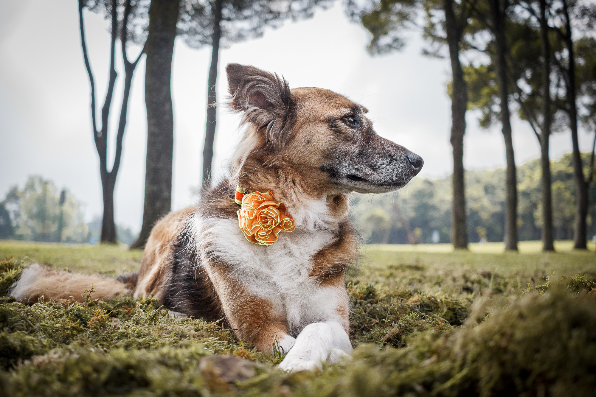 Canon EF-S 24mm F2.8 STM sample photo. Siempre elegante! photography