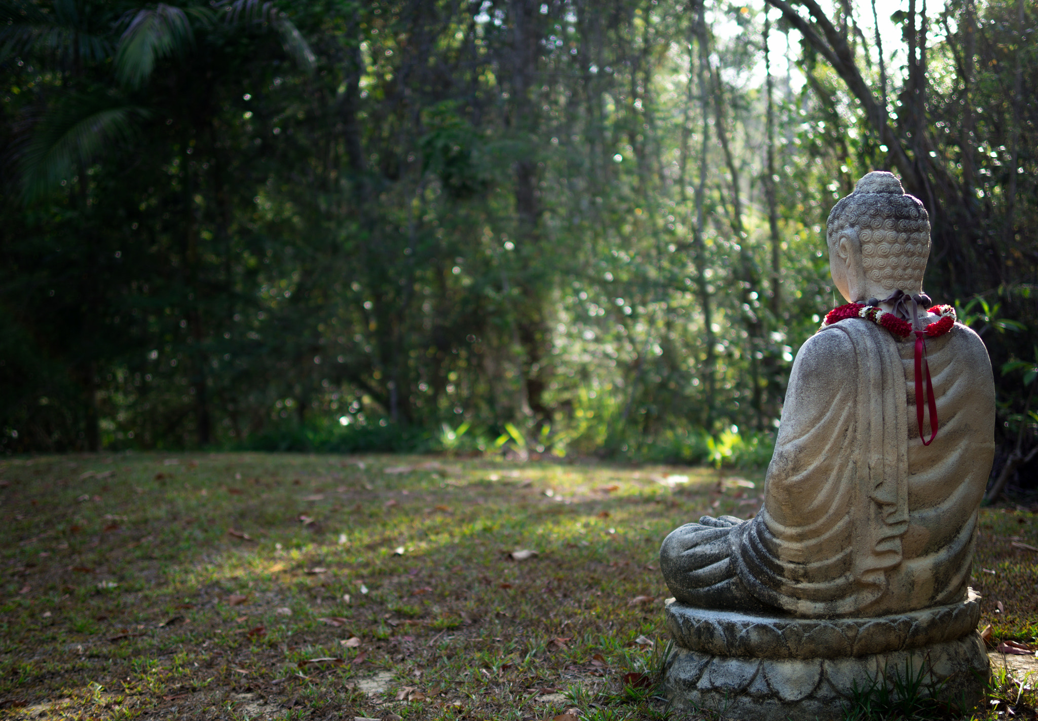 Panasonic Leica DG Summilux 25mm F1.4 II ASPH sample photo. Silence photography