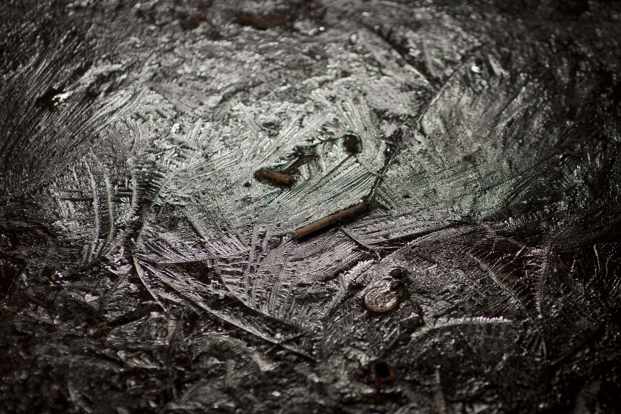 Nikon D700 sample photo. Cigarette butts in ice photography