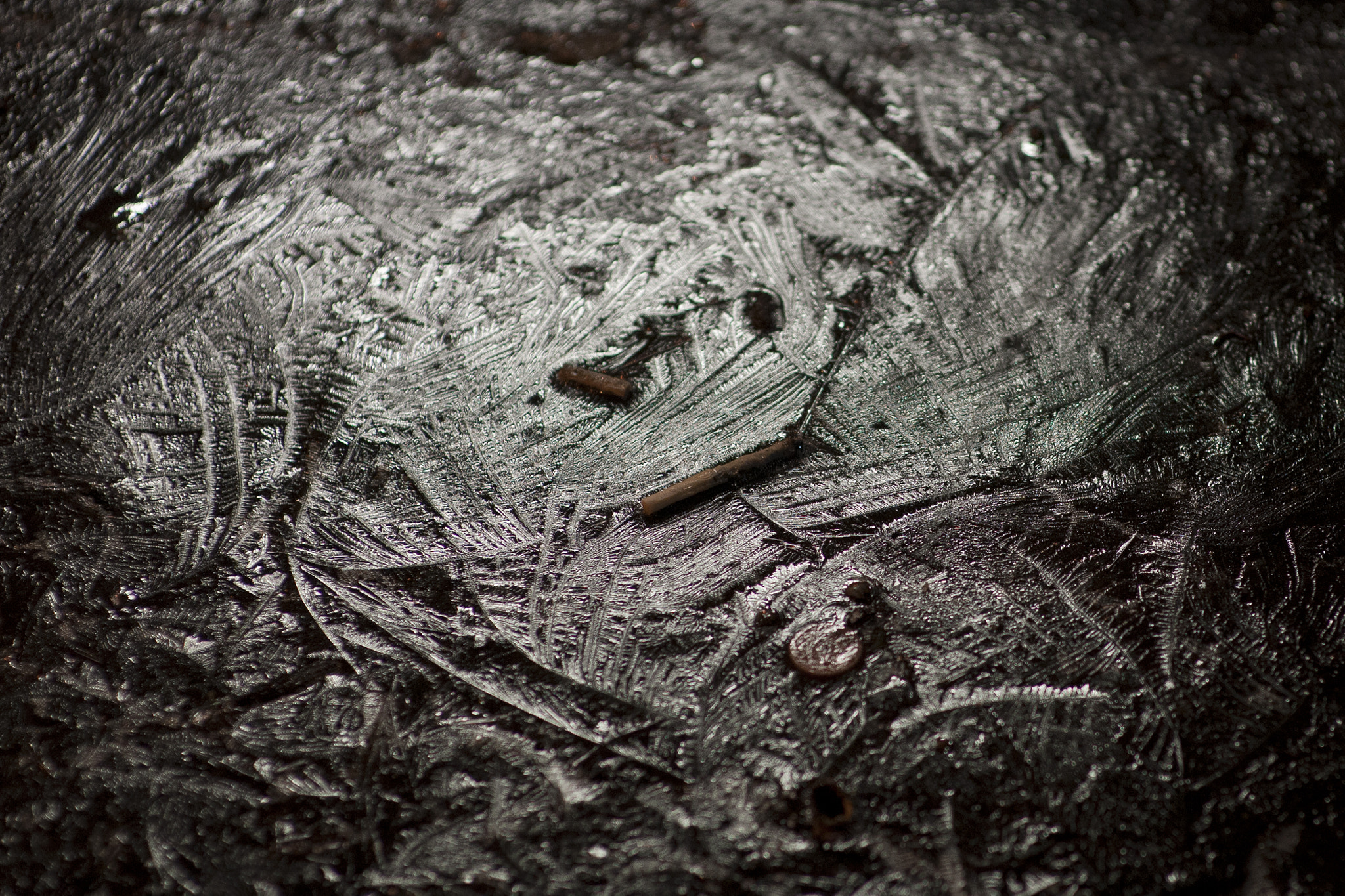 Nikon D700 + Sigma 85mm F1.4 EX DG HSM sample photo. Cigarette butts in ice photography