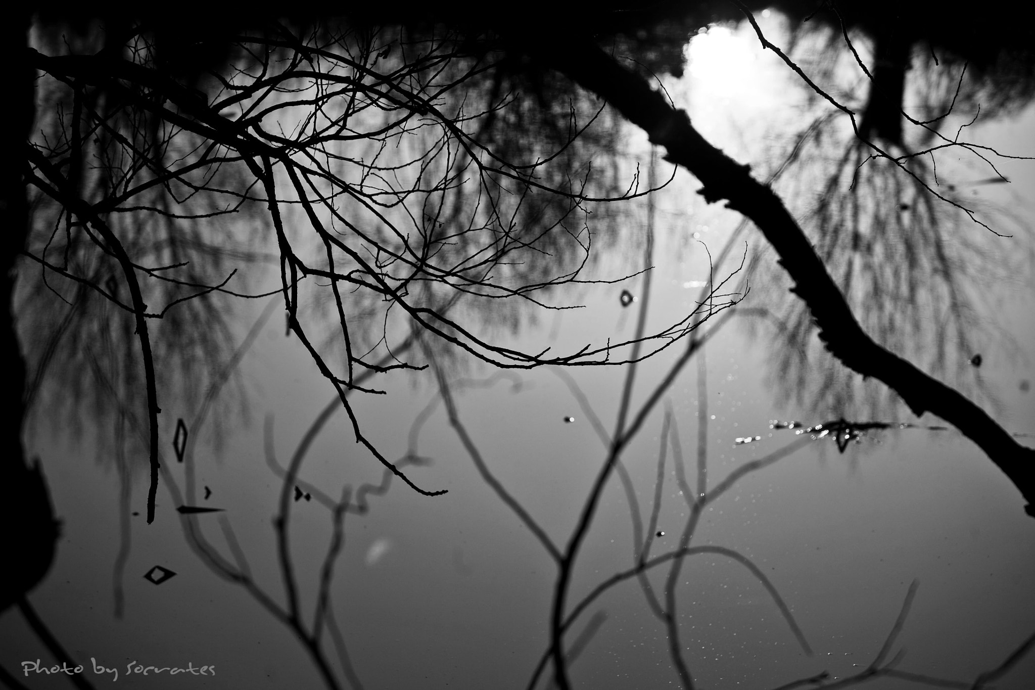 Canon EF 70-200mm F2.8L USM sample photo. 복사본 photography