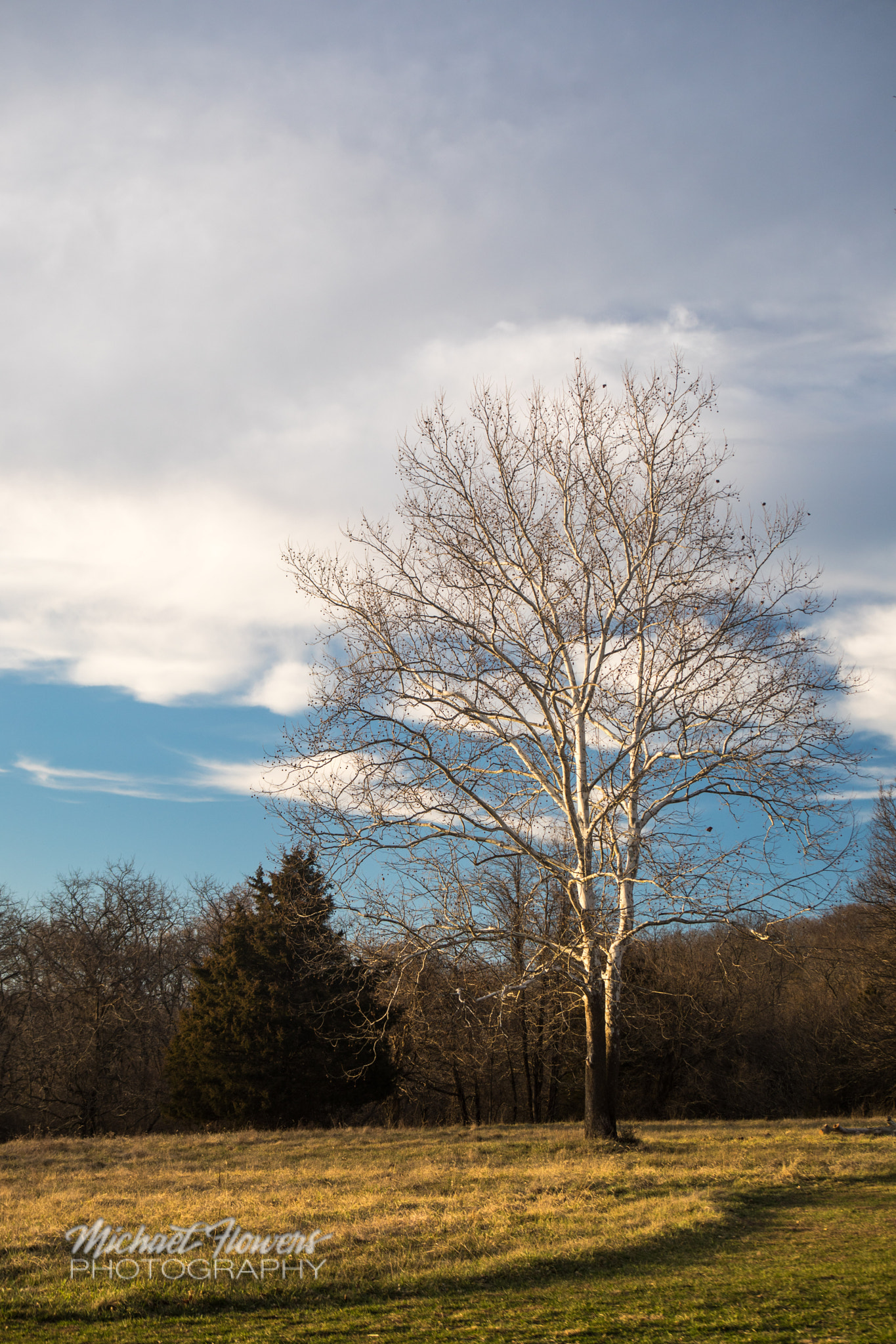 EF75-300mm f/4-5.6 sample photo. Waiting for spring photography