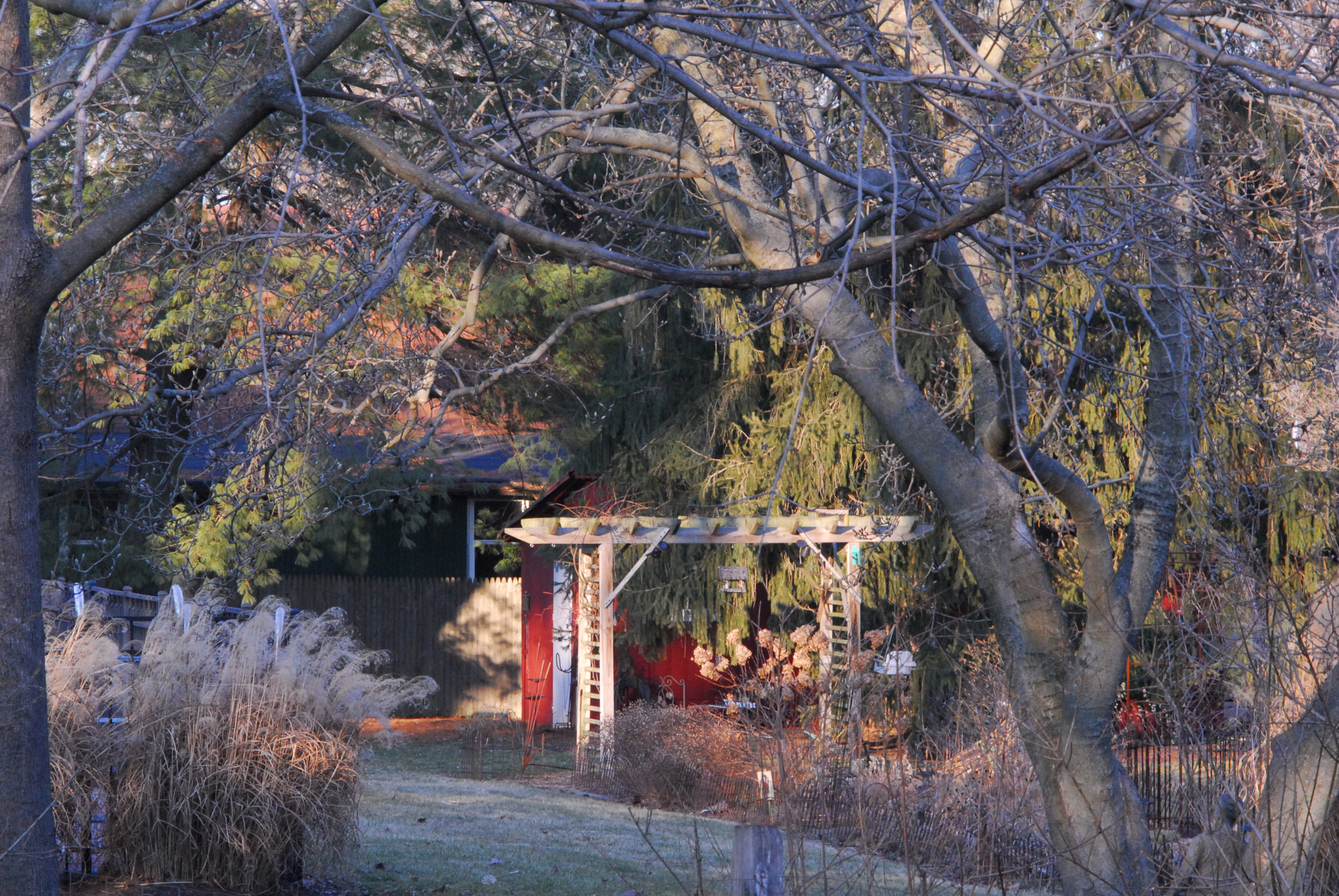 Nikon D200 + Manual Lens No CPU sample photo. Backyard photography