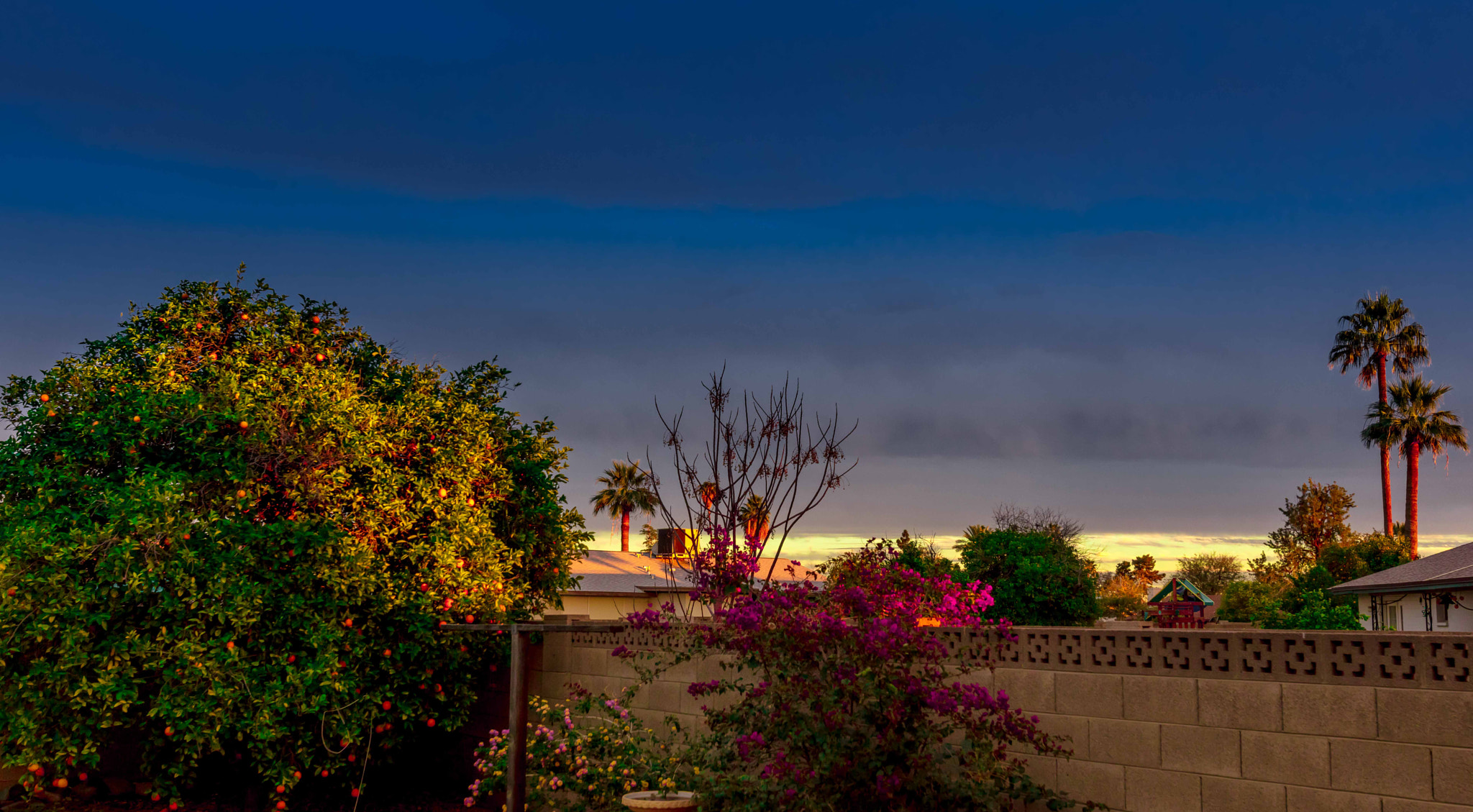 Canon EOS 5DS sample photo. My beautiful backyard at sunset photography