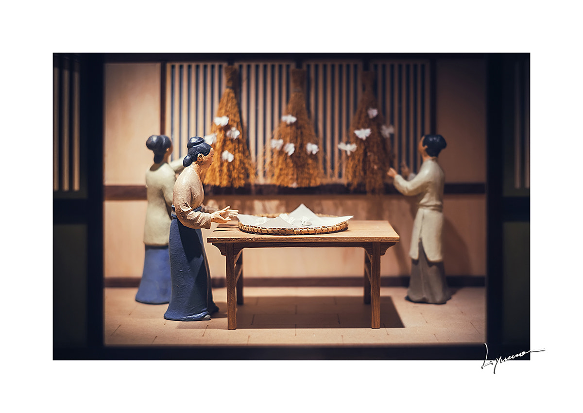 Fujifilm X-E2 + Fujifilm XF 35mm F1.4 R sample photo. An inch narrative tradition in one thousand the chinese silk photography