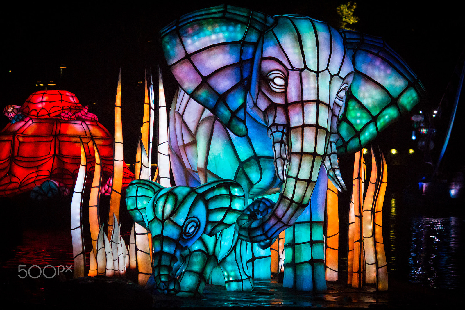 Canon EF-S 55-250mm F4-5.6 IS II sample photo. Elephants of light photography