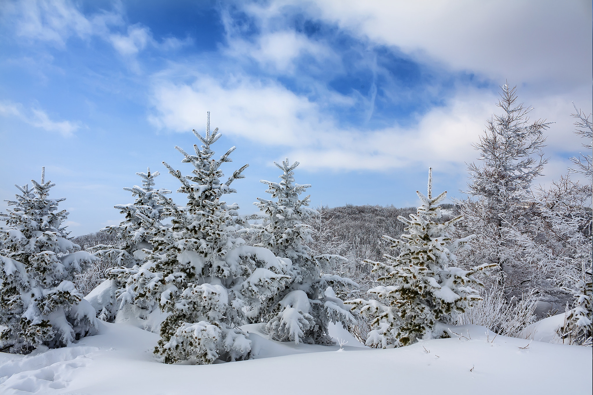 Canon EOS 5D Mark II sample photo. White winter photography