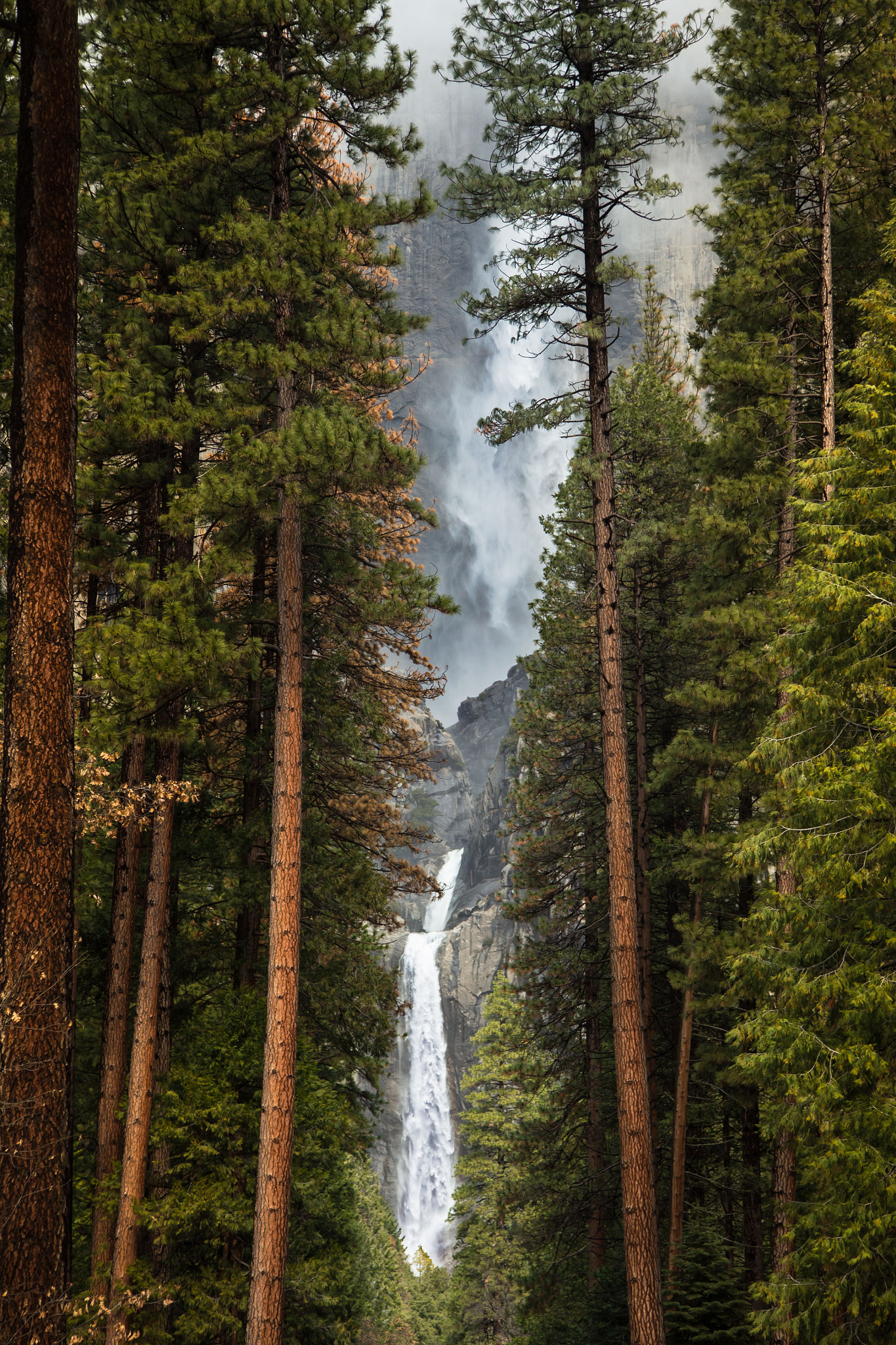 Canon EOS-1D X sample photo. Majestic place photography