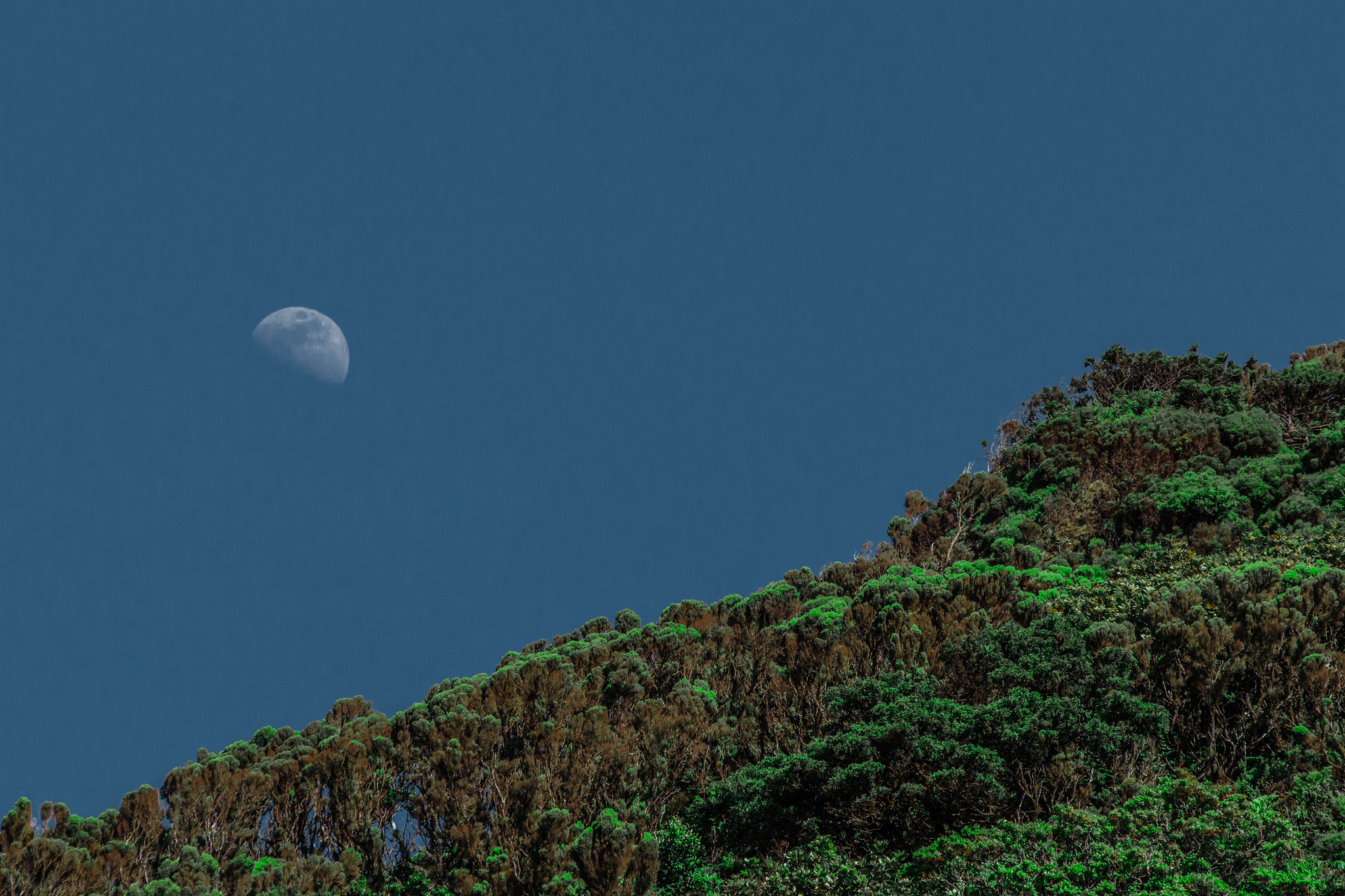 Sigma 70-300mm F4-5.6 APO DG Macro sample photo. Img photography