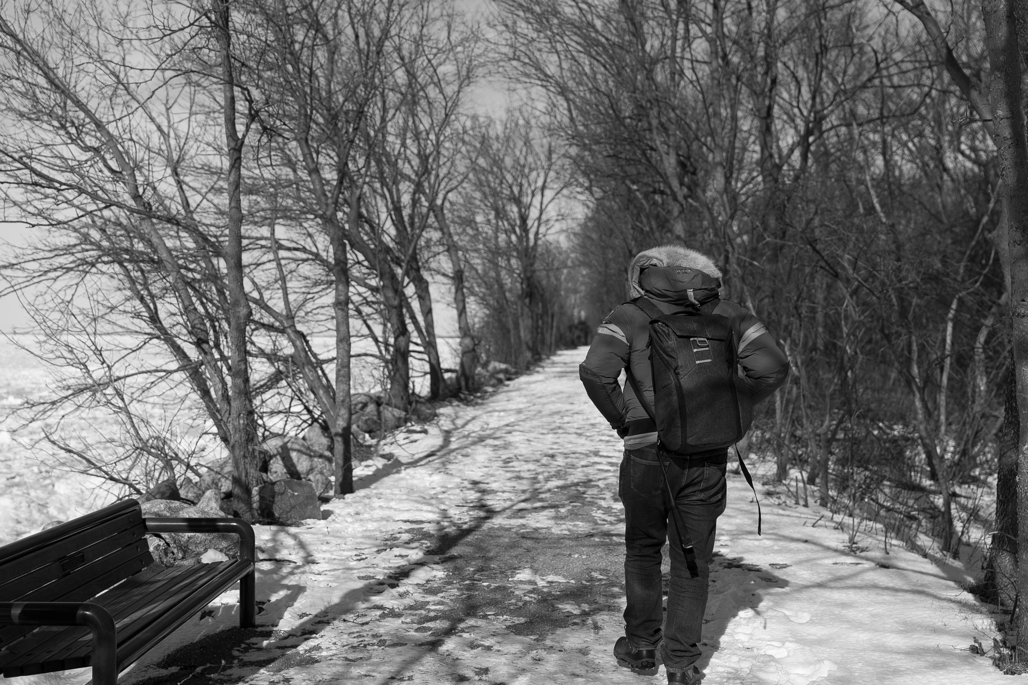 Sony a7 II + Sony FE 24-70mm F2.8 GM sample photo. Winterscape photography