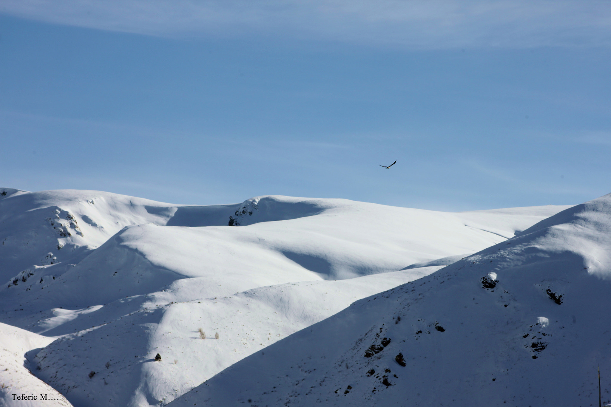 Canon EOS 500D (EOS Rebel T1i / EOS Kiss X3) + EF75-300mm f/4-5.6 sample photo. Shar-mountain gora.. photography
