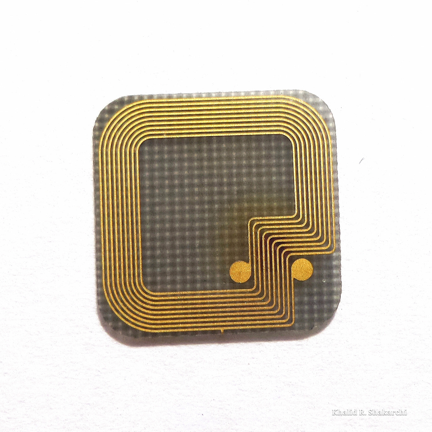 Samsung Galaxy K Zoom sample photo. Golden arena photography
