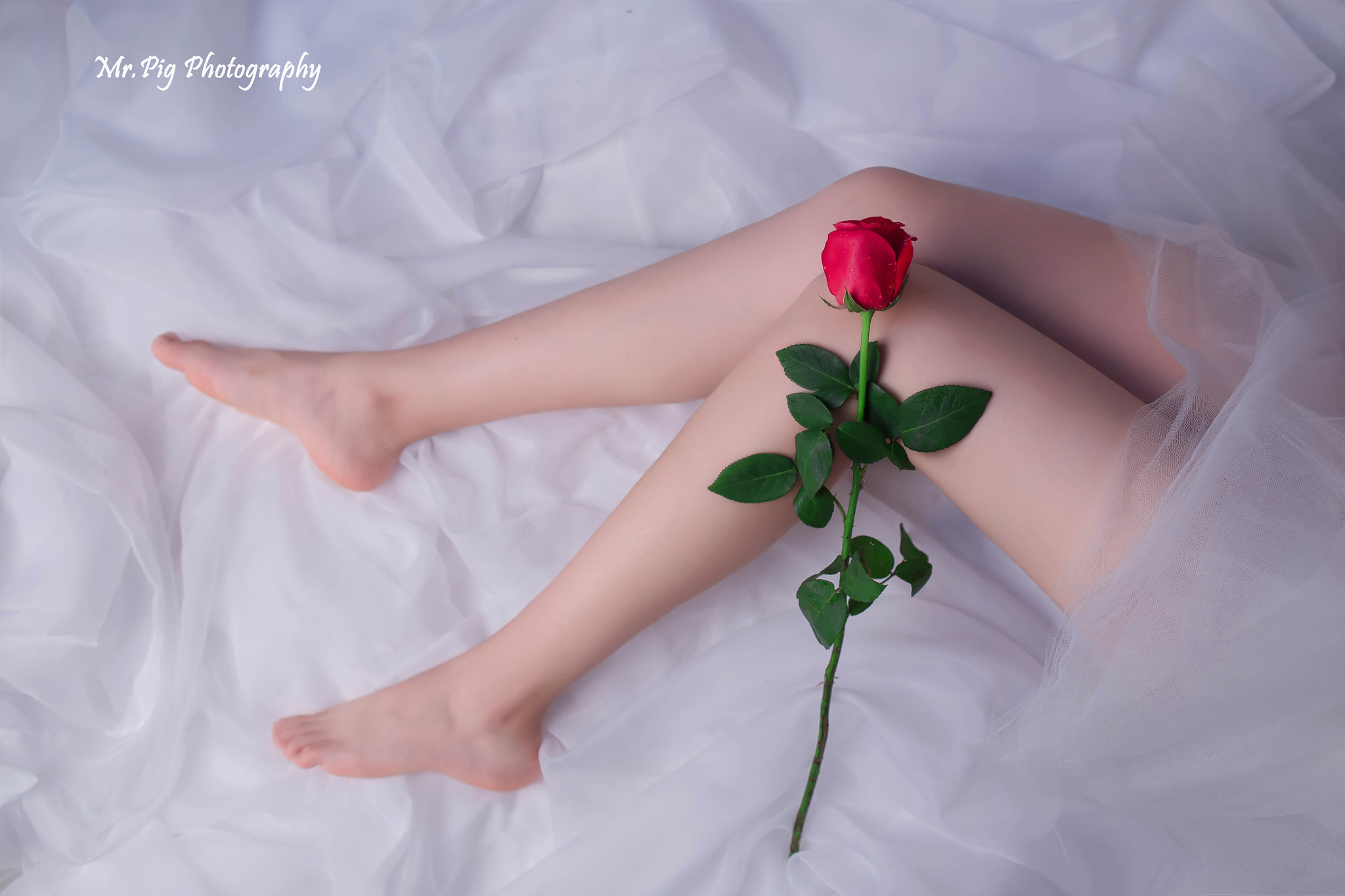 Canon EOS 6D sample photo. The  beauty and rose photography