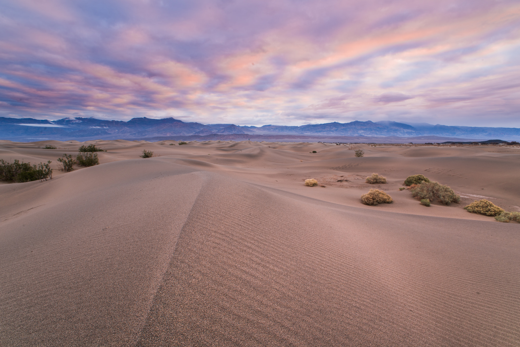 Nikon D810 + AF Nikkor 20mm f/2.8 sample photo. Dunes photography