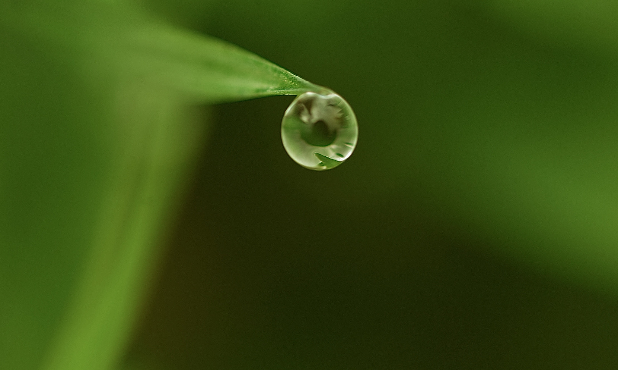 Sigma SD15 sample photo. Fumi photography