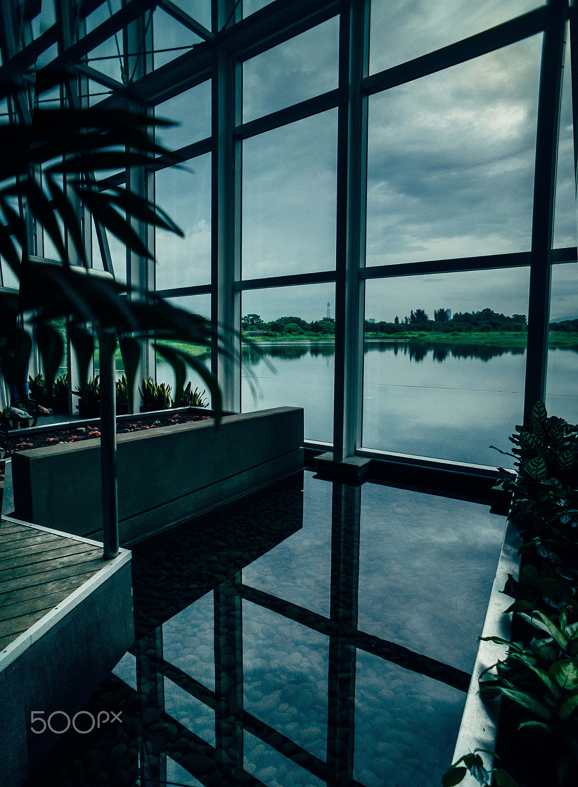 Sony E 16mm F2.8 sample photo. Hong kong wetland park, photography