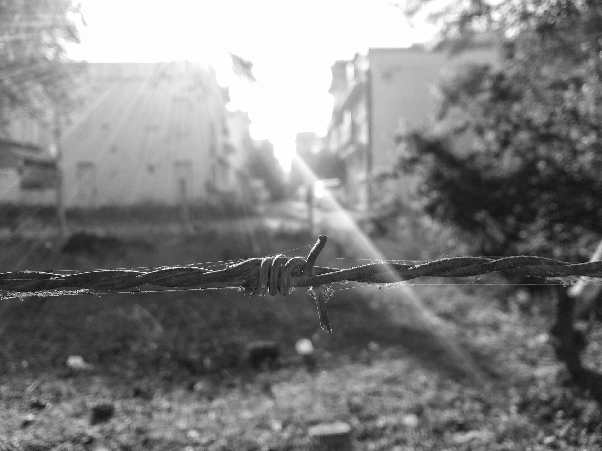 Samsung Galaxy A7 sample photo. Still life photography