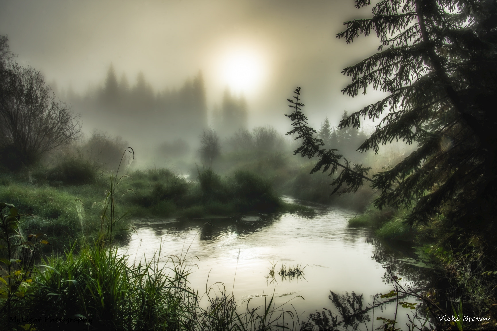 Nikon D7200 sample photo. Play misty for me photography